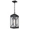 Nuvo Oaklyn - 1 Light Hanging Lantern - Matte Black with Clear Glass 60/8125 - alternate 2